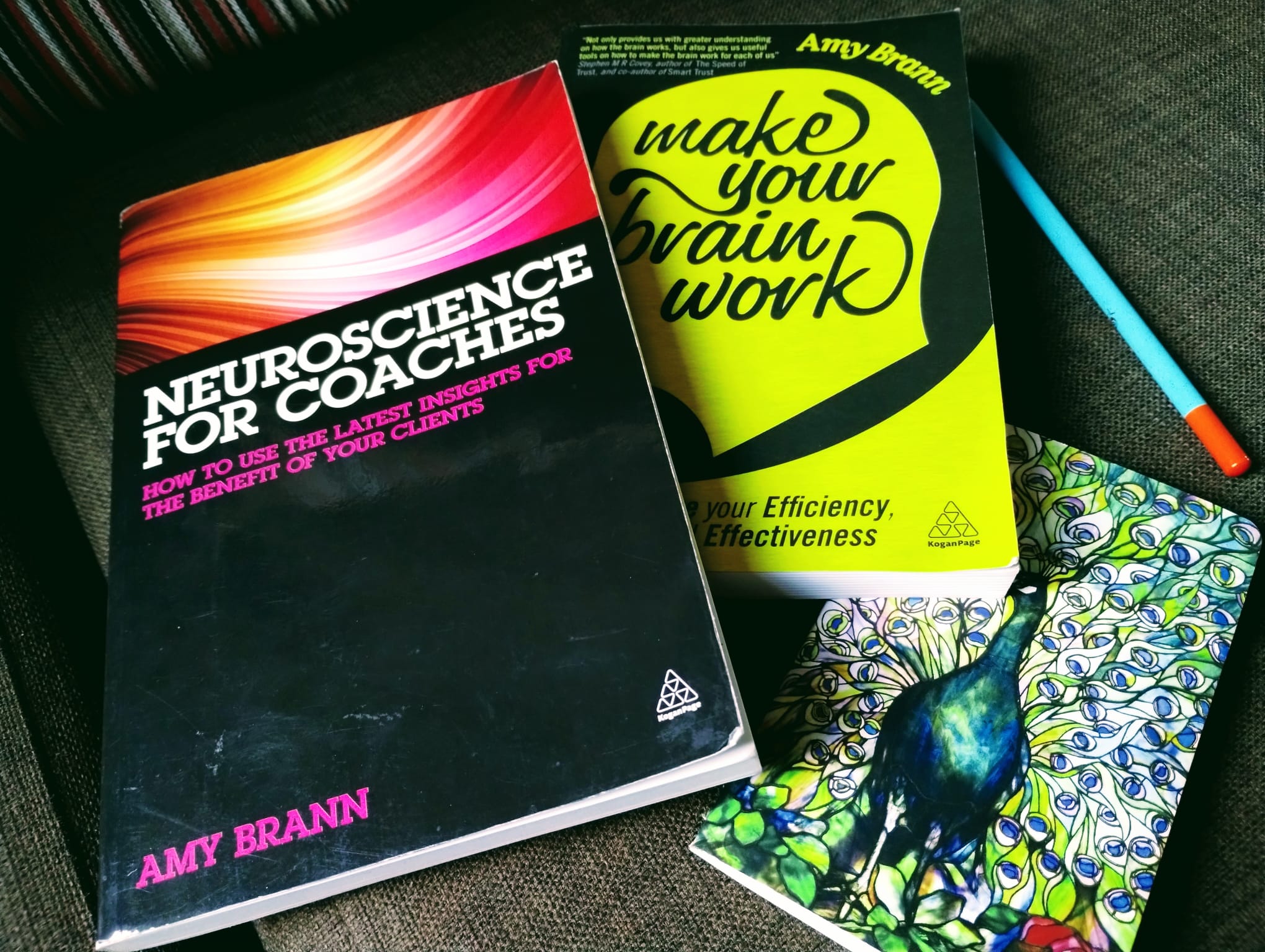 Book Review – Neuroscience for coaches by Amy Brann